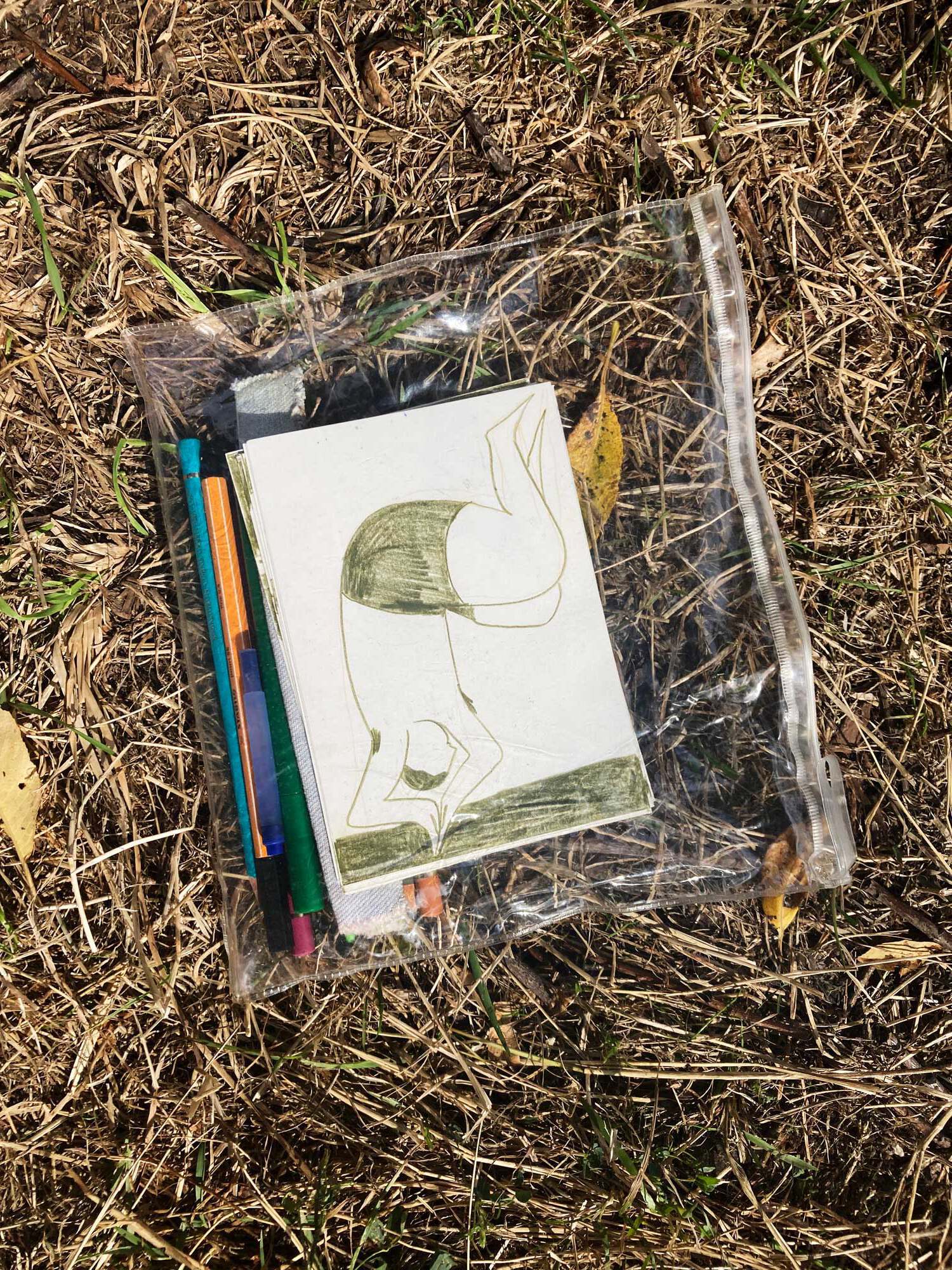 Auf vertrocknetem Gras liegt deine durchsichtige Tasche mit Stiften und illustrierten Postkarten