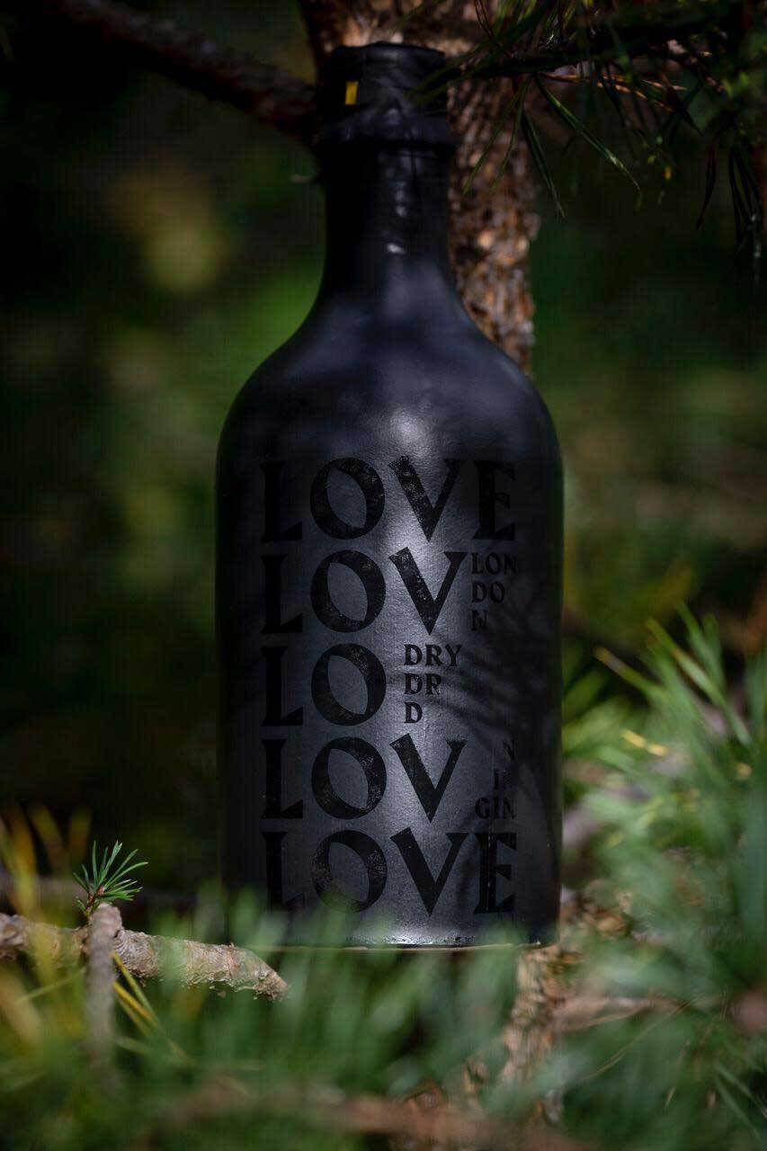 Schwarze Gin Flasche mit schwarzem Aufdruck zwischen Kiefernnadel.