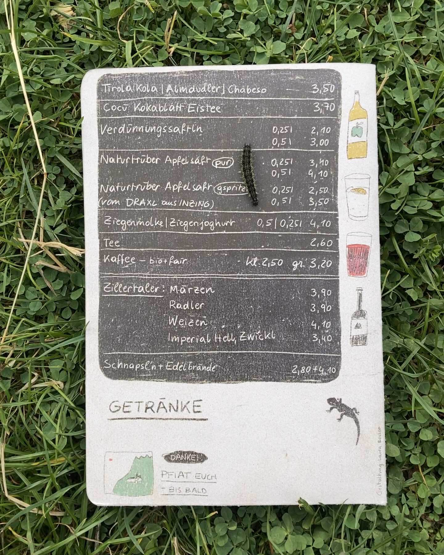 Rückseite der Speisekarte in einer Wiese. Auf der Speisekarte sitzt eine Raupe.